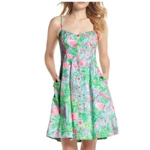 Lilly Pulitzer Easton Dress
